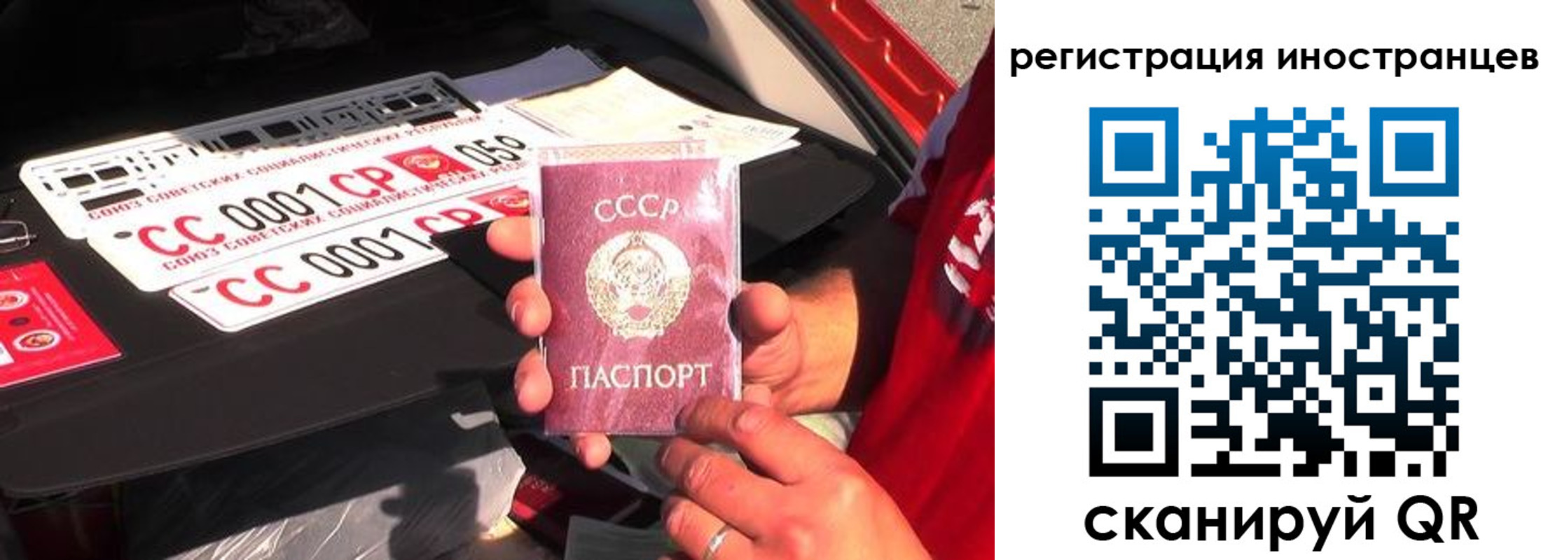 прописка гарантия в Красном Сулине
